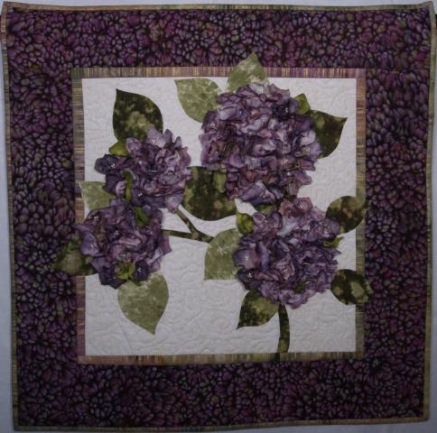 Left-Handed Hydrangea (large view)